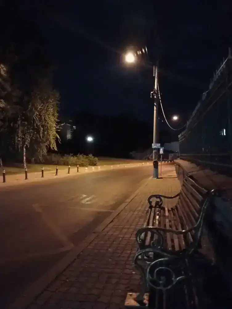 Benches along a park railing, under the first lamp of the evening