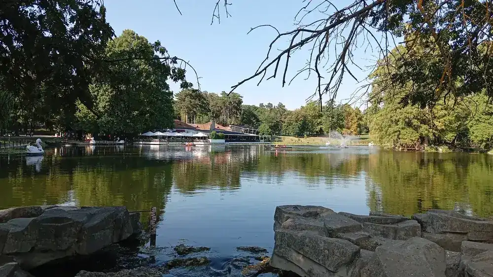 Rowing boats and swan pedalos on the lake