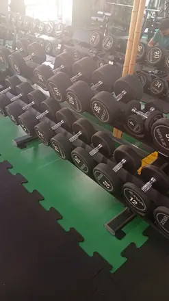 Racked Ziva dumbbells from 4 to 50 kg on a green rubber floor inside Gorilla Gym, Craiova