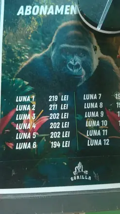 Months one to six priced on the board: 219, 211, 202, 202, 202, 194 lei