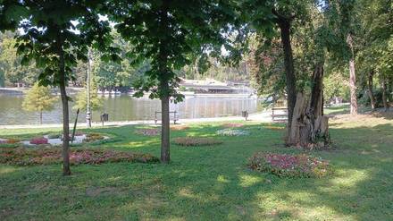 The lake in Nicolae Romanescu Park seen through chestnut trees